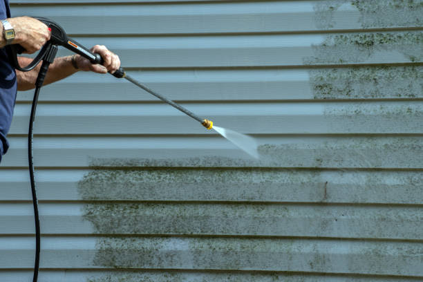 Best Pool Deck Cleaning  in Moose Wilson Road, WY